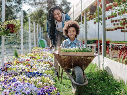 Community health improvement grants